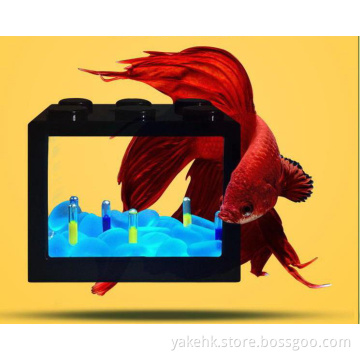 Mini acrylic aquarium fish tank